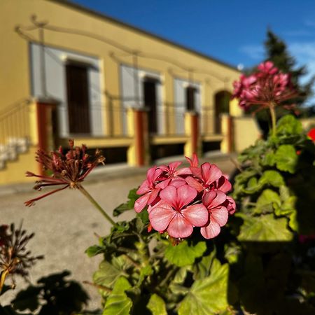 Agriturismo Il Trappeto غالّيبولي المظهر الخارجي الصورة