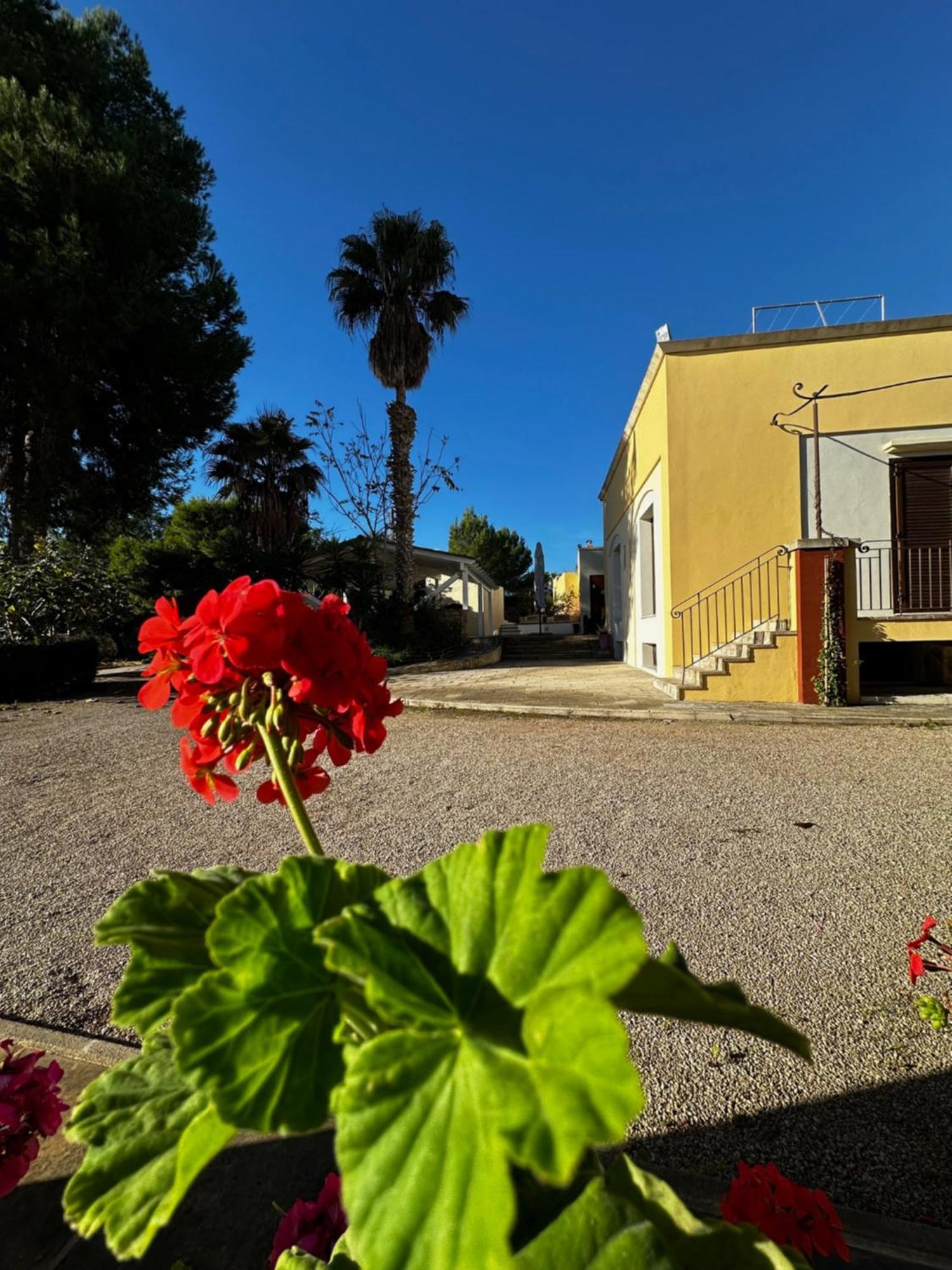 Agriturismo Il Trappeto غالّيبولي المظهر الخارجي الصورة