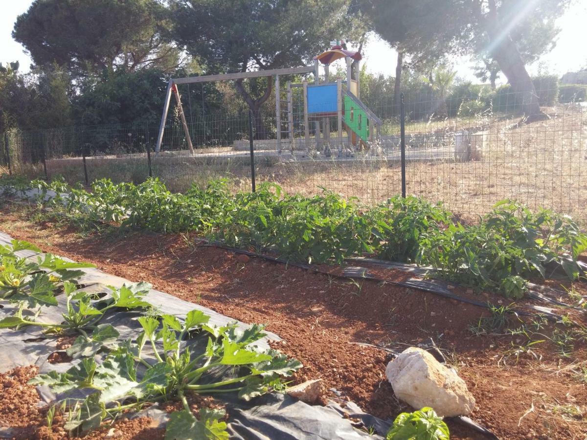 Agriturismo Il Trappeto غالّيبولي المظهر الخارجي الصورة